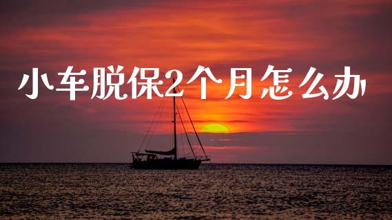 小车脱保2个月怎么办_https://cj002.lansai.wang_保险问答_第1张