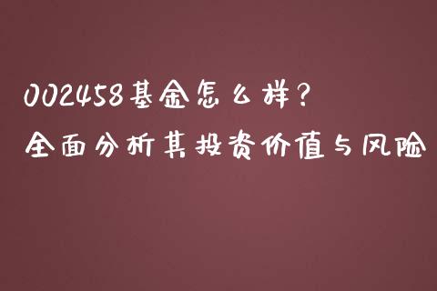 002458基金怎么样？全面分析其投资价值与风险_https://cj002.lansai.wang_理财问答_第1张