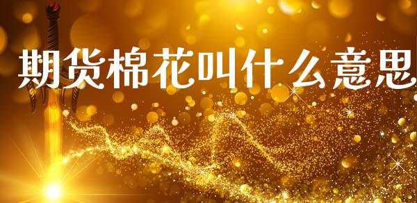 期货棉花叫什么意思_https://cj002.lansai.wang_期货问答_第1张