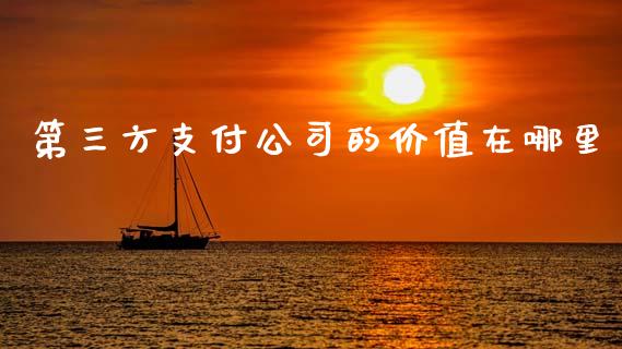 第三方支付公司的价值在哪里_https://cj002.lansai.wang_金融问答_第1张