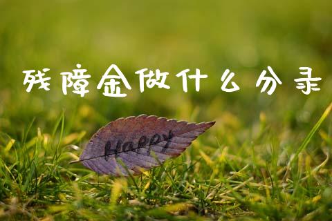 残障金做什么分录_https://cj002.lansai.wang_会计问答_第1张