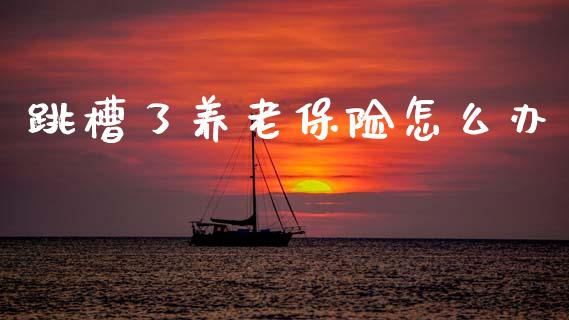 跳槽了养老保险怎么办_https://cj002.lansai.wang_保险问答_第1张