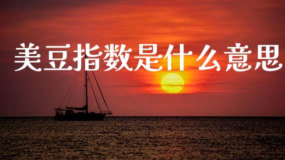 美豆指数是什么意思_https://cj002.lansai.wang_期货问答_第1张