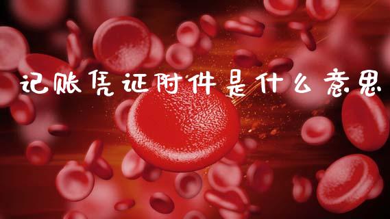 记账凭证附件是什么意思_https://cj002.lansai.wang_会计问答_第1张