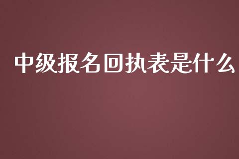 中级报名回执表是什么_https://cj002.lansai.wang_会计问答_第1张