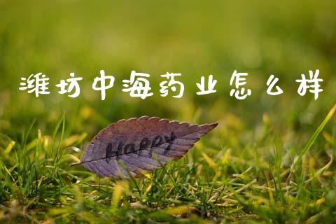 潍坊中海药业怎么样_https://cj002.lansai.wang_财经问答_第1张
