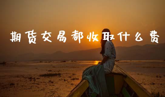 期货交易都收取什么费_https://cj002.lansai.wang_金融问答_第1张