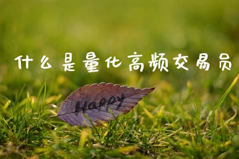 什么是量化高频交易员_https://cj002.lansai.wang_理财问答_第1张