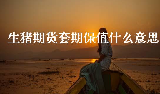 生猪期货套期保值什么意思_会计问答_第1张_财经百问网 生猪期货套期保值什么意思_https://cj002.lansai.wang_会计问答_第1张