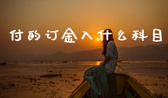 付的订金入什么科目_https://cj002.lansai.wang_会计问答_第1张