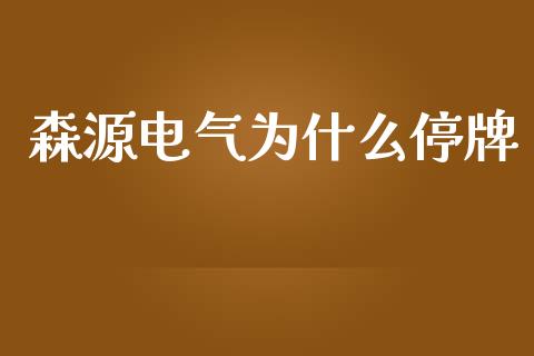 森源电气为什么停牌_https://cj002.lansai.wang_会计问答_第1张