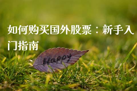 如何购买国外股票:新手入门指南_金融问答_第1张_财经百问网 如何购买国外股票:新手入门指南_https://cj002.lansai.wang_金融问答_第1张