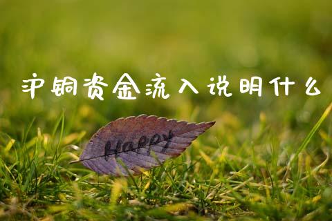 沪铜资金流入说明什么_https://cj002.lansai.wang_财经问答_第1张