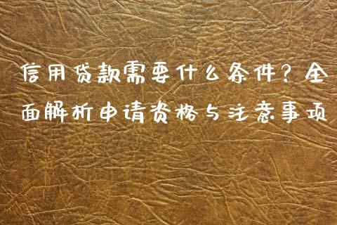 信用贷款需要什么条件？全面解析申请资格与注意事项_https://cj002.lansai.wang_期货问答_第1张
