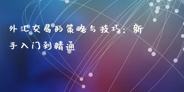 外汇交易的策略与技巧：新手入门到精通_https://cj002.lansai.wang_财经问答_第1张
