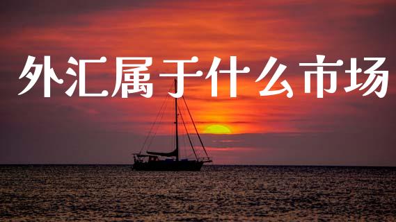 外汇属于什么市场_https://cj002.lansai.wang_财经问答_第1张