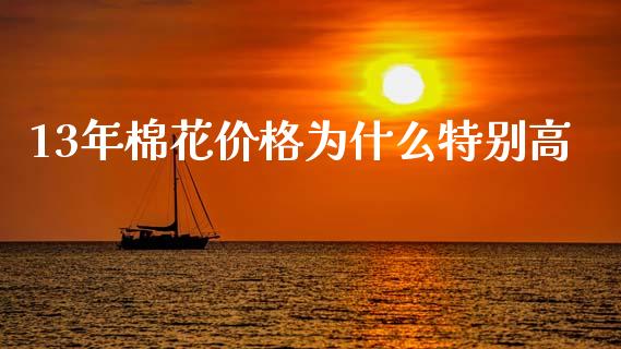 13年棉花价格为什么特别高_https://cj002.lansai.wang_理财问答_第1张
