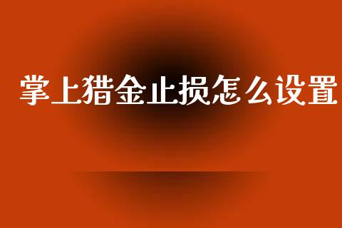 掌上猎金止损怎么设置_https://cj002.lansai.wang_期货问答_第1张