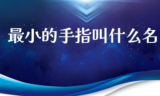最小的手指叫什么名_https://cj002.lansai.wang_财经问答_第1张