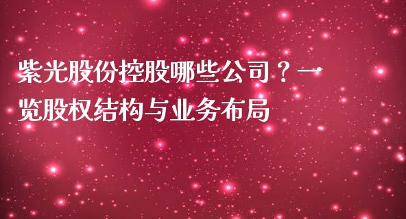 紫光股份控股哪些公司？一览股权结构与业务布局_https://cj002.lansai.wang_理财问答_第1张