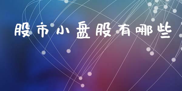 股市小盘股有哪些_https://cj002.lansai.wang_金融问答_第1张