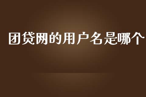 团贷网的用户名是哪个_https://cj002.lansai.wang_股市问答_第1张