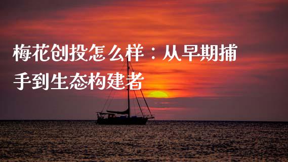 梅花创投怎么样：从早期捕手到生态构建者_https://cj002.lansai.wang_期货问答_第1张