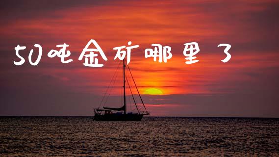 50吨金矿哪里了_https://cj002.lansai.wang_金融问答_第1张