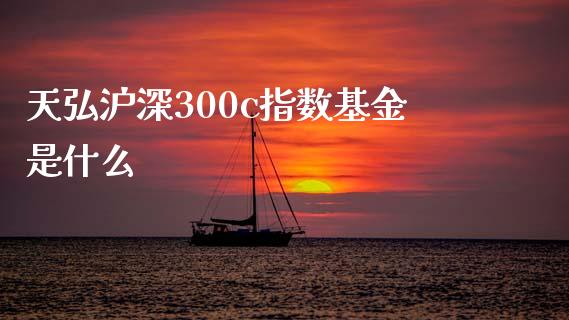 天弘沪深300c指数基金是什么_https://cj002.lansai.wang_股市问答_第1张