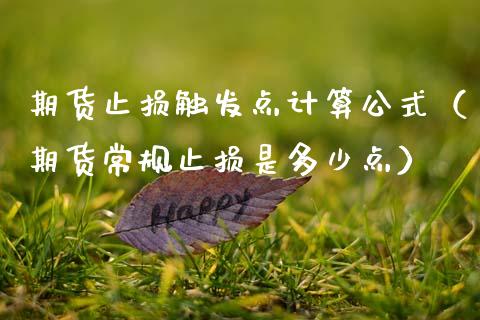 期货止损触发点计算公式（期货常规止损是多少点）_https://cj002.lansai.wang_理财问答_第1张
