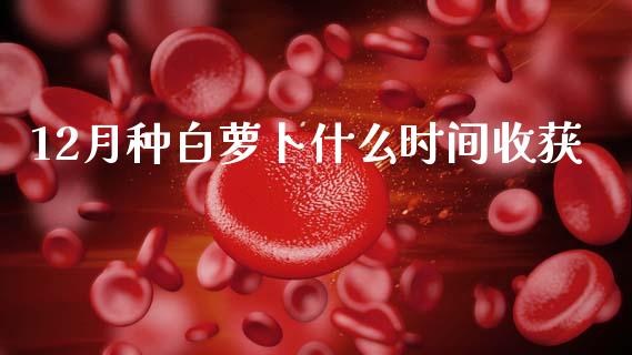 12月种白萝卜什么时间收获_金融问答_第1张_财经百问网 12月种白萝卜什么时间收获_https://cj002.lansai.wang_金融问答_第1张