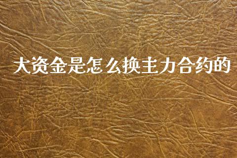 大资金是怎么换主力合约的_https://cj002.lansai.wang_股市问答_第1张