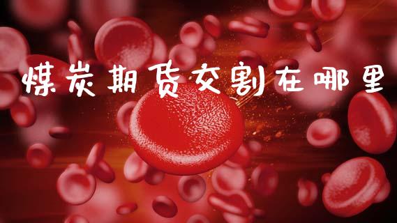 煤炭期货交割在哪里_https://cj002.lansai.wang_股市问答_第1张
