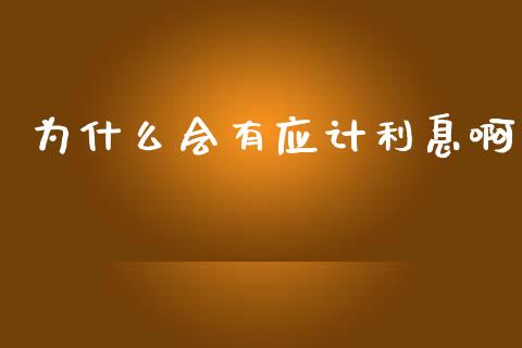 为什么会有应计利息啊_https://cj002.lansai.wang_财经问答_第1张