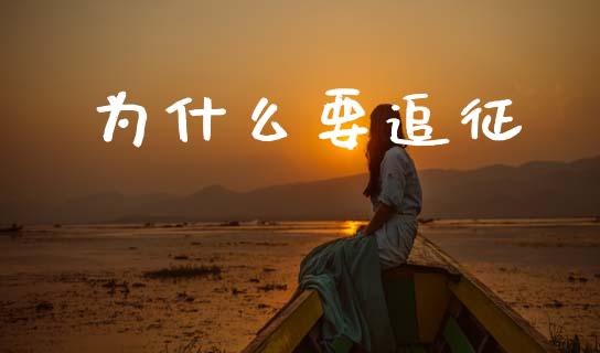 为什么要追征_https://cj002.lansai.wang_会计问答_第1张