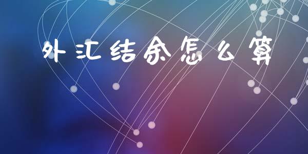 外汇结余怎么算_https://cj002.lansai.wang_财经问答_第1张