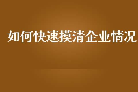 如何快速摸清企业情况_https://cj002.lansai.wang_金融问答_第1张