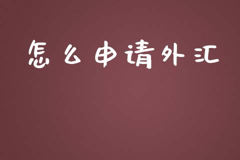 怎么申请外汇_https://cj002.lansai.wang_财经问答_第1张