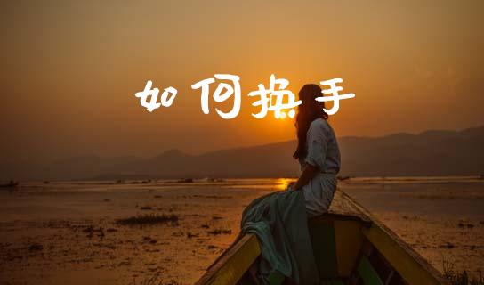 如何换手_https://cj002.lansai.wang_会计问答_第1张