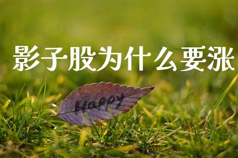 影子股为什么要涨_https://cj002.lansai.wang_会计问答_第1张