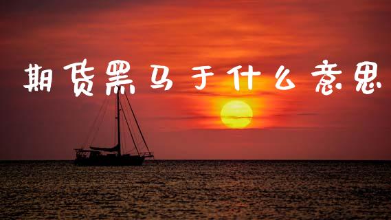 期货黑马于什么意思_https://cj002.lansai.wang_财经问答_第1张