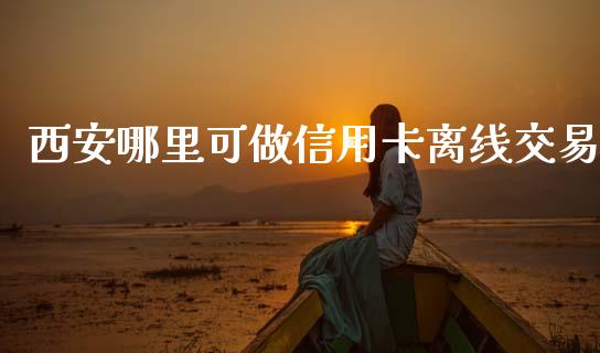 西安哪里可做信用卡离线交易_https://cj002.lansai.wang_理财问答_第1张