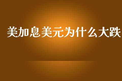 美加息美元为什么大跌_https://cj002.lansai.wang_财经问答_第1张