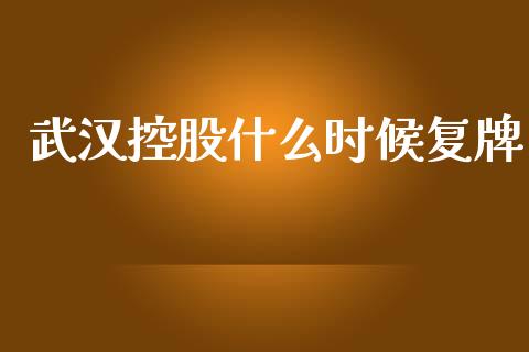 武汉控股什么时候复牌_https://cj002.lansai.wang_金融问答_第1张