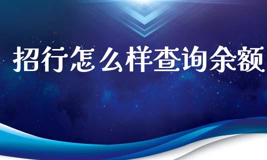 招行怎么样查询余额_https://cj002.lansai.wang_理财问答_第1张