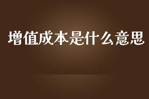 增值成本是什么意思_https://cj002.lansai.wang_会计问答_第1张