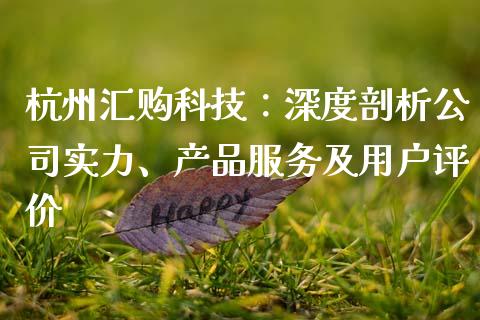杭州汇购科技：深度剖析公司实力、产品服务及用户评价_https://cj002.lansai.wang_金融问答_第1张