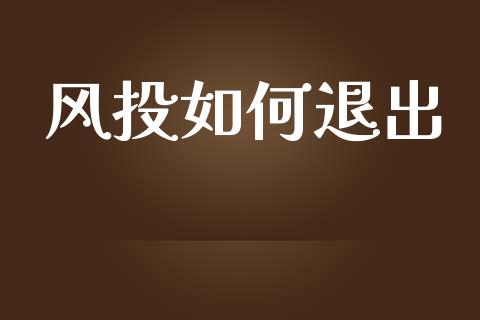 风投如何退出_https://cj002.lansai.wang_期货问答_第1张