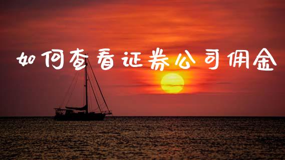 如何查看证券公司佣金_https://cj002.lansai.wang_财经问答_第1张