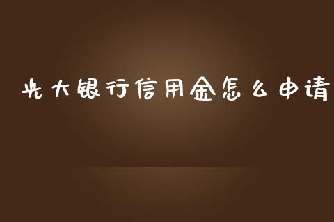 光大银行信用金怎么申请_https://cj002.lansai.wang_金融问答_第1张